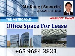 The Metropolis (D5), Office #566595481